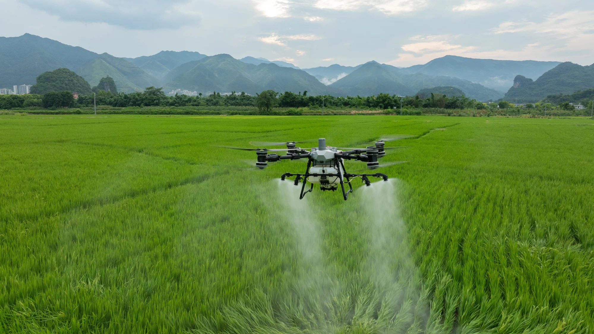 Agricultural drone services